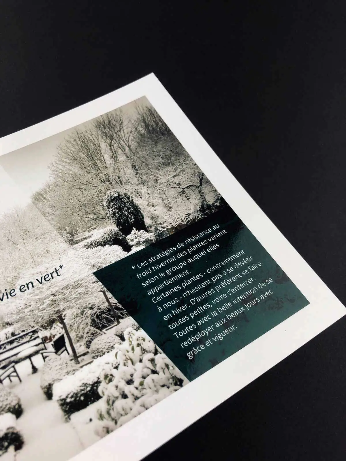 flyer-heaven-42