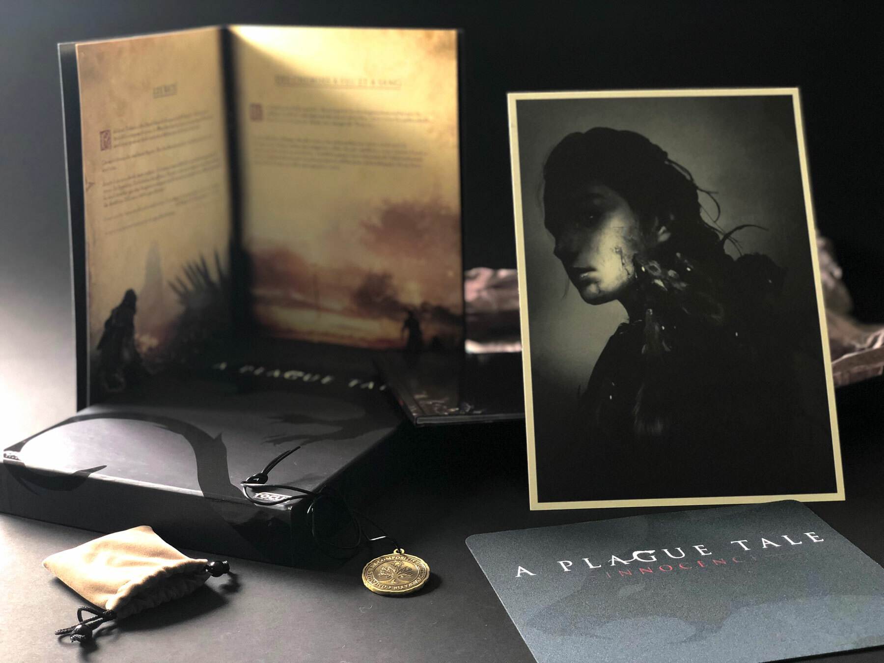 a-plague-tale-coffrets-contenu