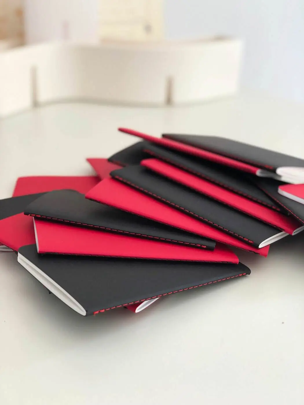 carnets-reliure-singer