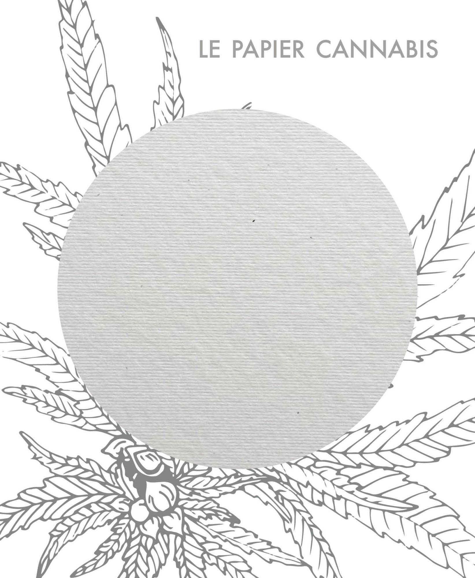 Papier-biocycle-cannabis-grafik-plus