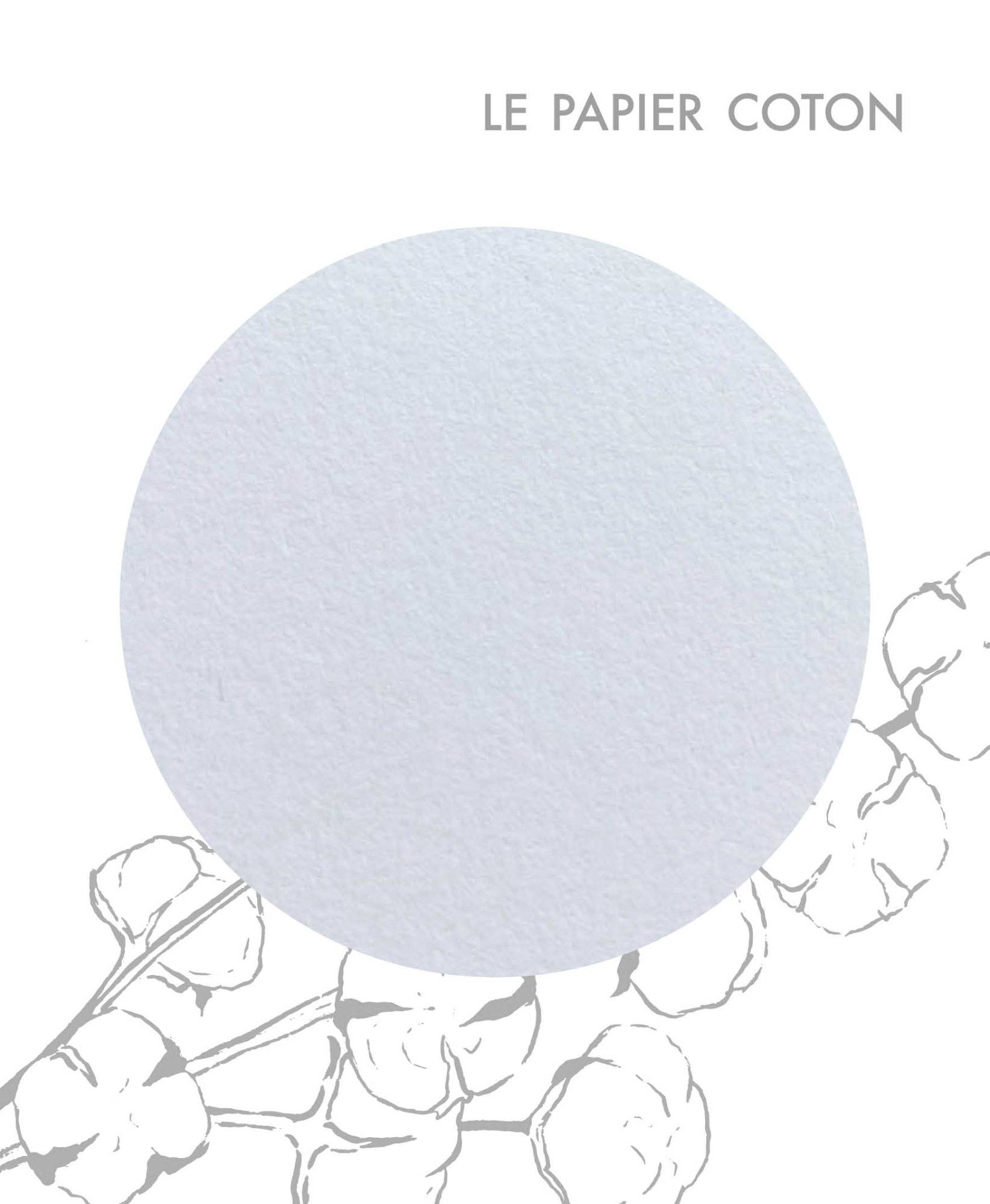 Papier-biocycle-coton-grafik-plus4