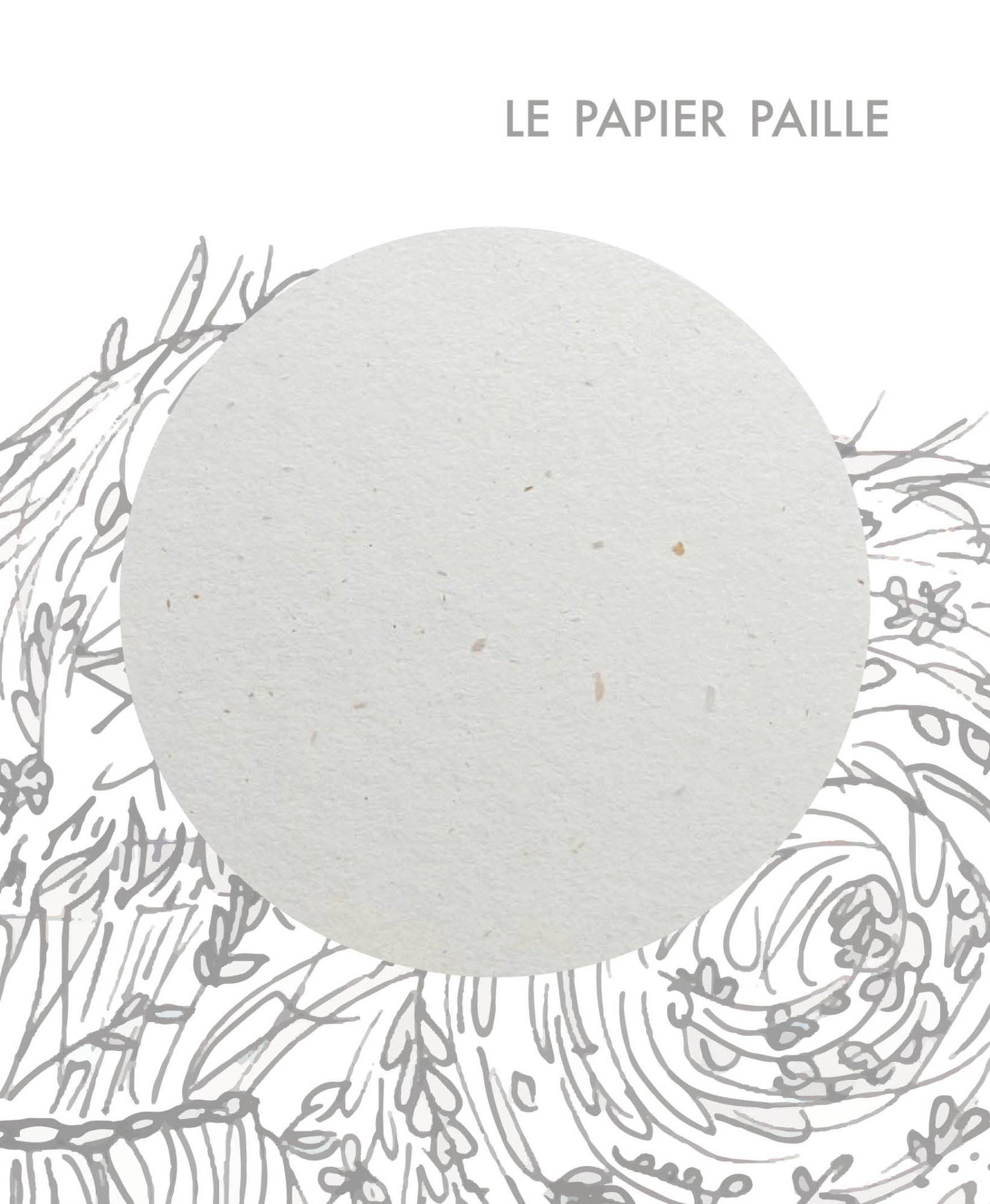 Papier-biocycle-paille-grafik-plus2