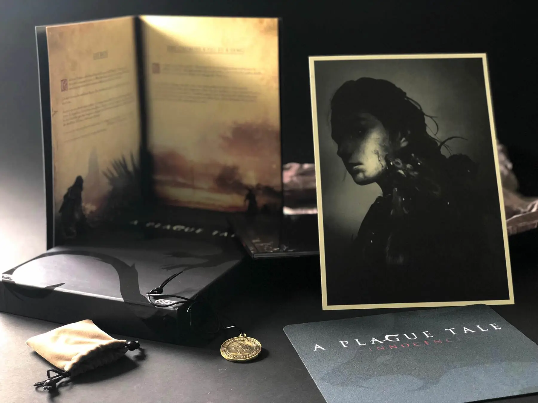 a-plague-tale-coffrets-large