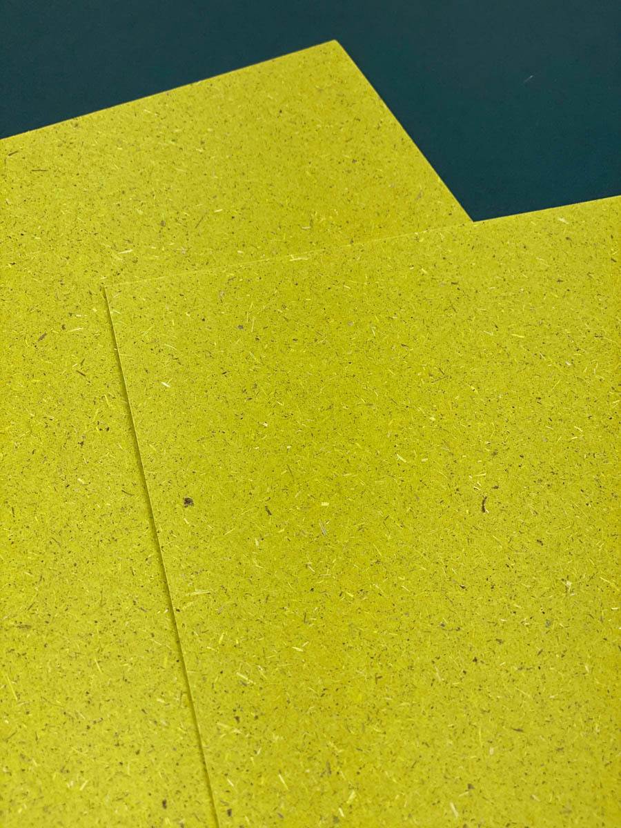 papiers-RSE-grafik-plus-chlorophylle