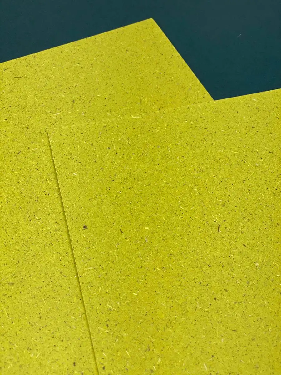 papiers-RSE-grafik-plus-chlorophylle
