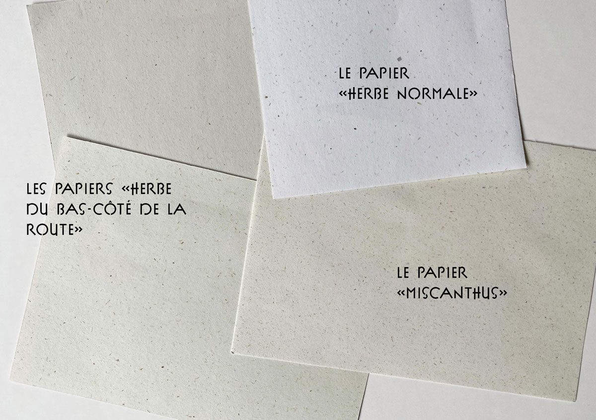 papiers upcyclés herbe