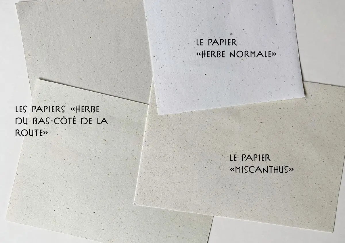 papiers upcyclés herbe