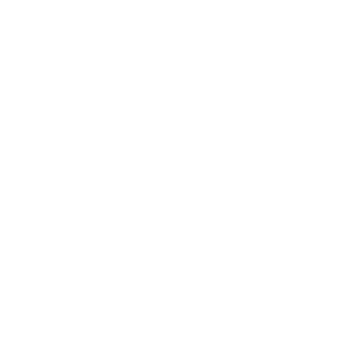 puce NFC explications