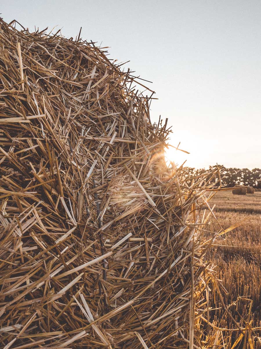 ballot-paille-automne
