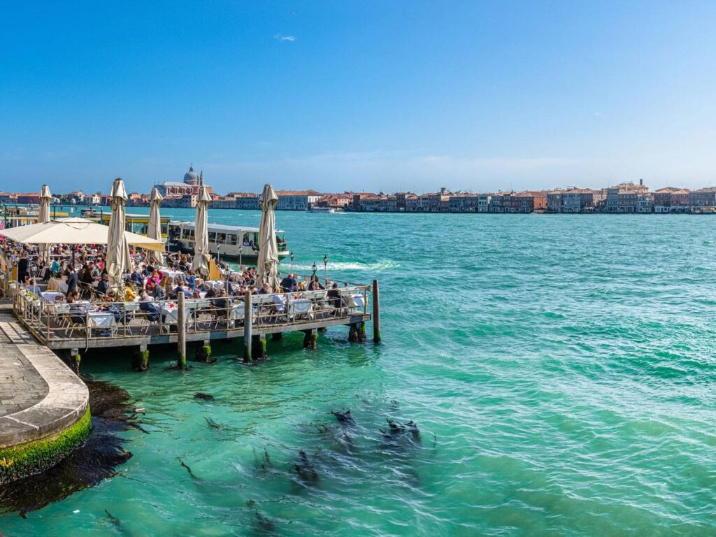 venise algues papier alga carta